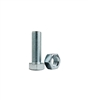 Steel Carriage Bolts with Nuts (10-Pack)